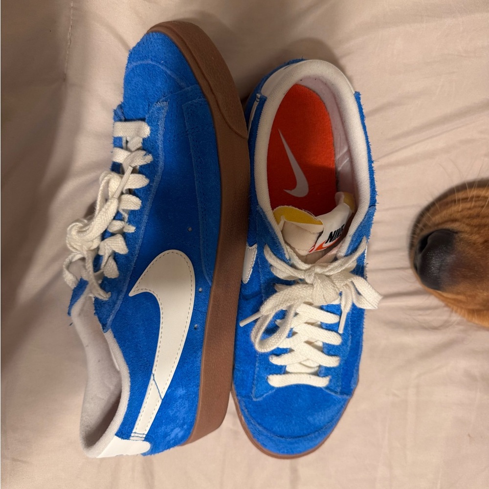 Nike Royal Blue Sneakers with White Swoosh
